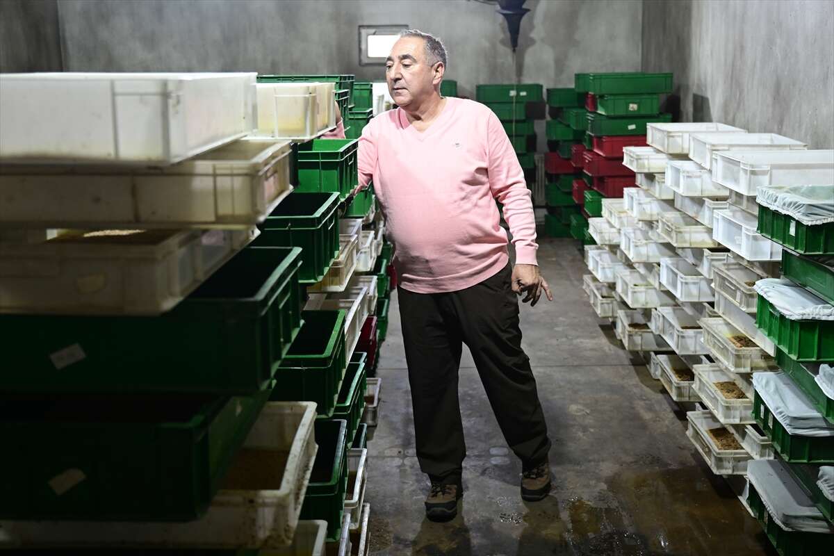 Antalya’da üretilen böcekler Konya’da köpek mamasına dönüşüyor 11